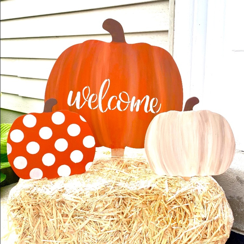 Welcome !! - Picture 6 of 10